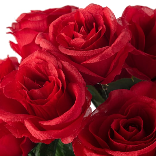 Red Rose Bush by Ashland®